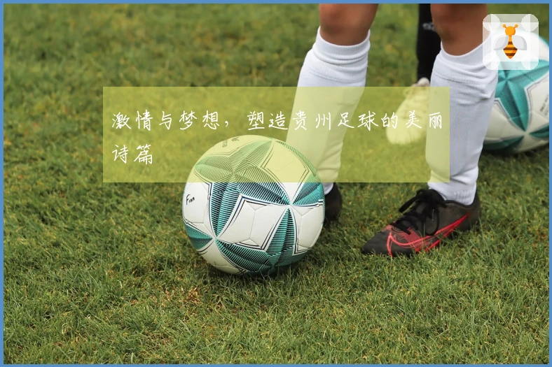 激情与梦想，塑造贵州足球的美丽诗篇
